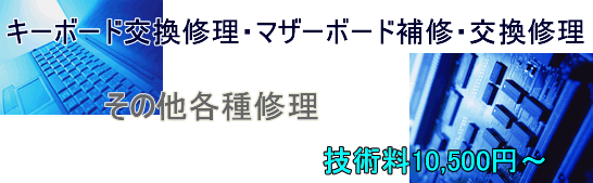 �p�\�R���C���@�ꗥ�P�O�C�T�O�O�~